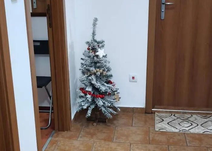 старият хан-б24 반스코